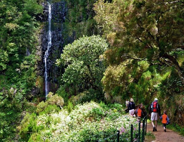 Rabacal Walk Madeira